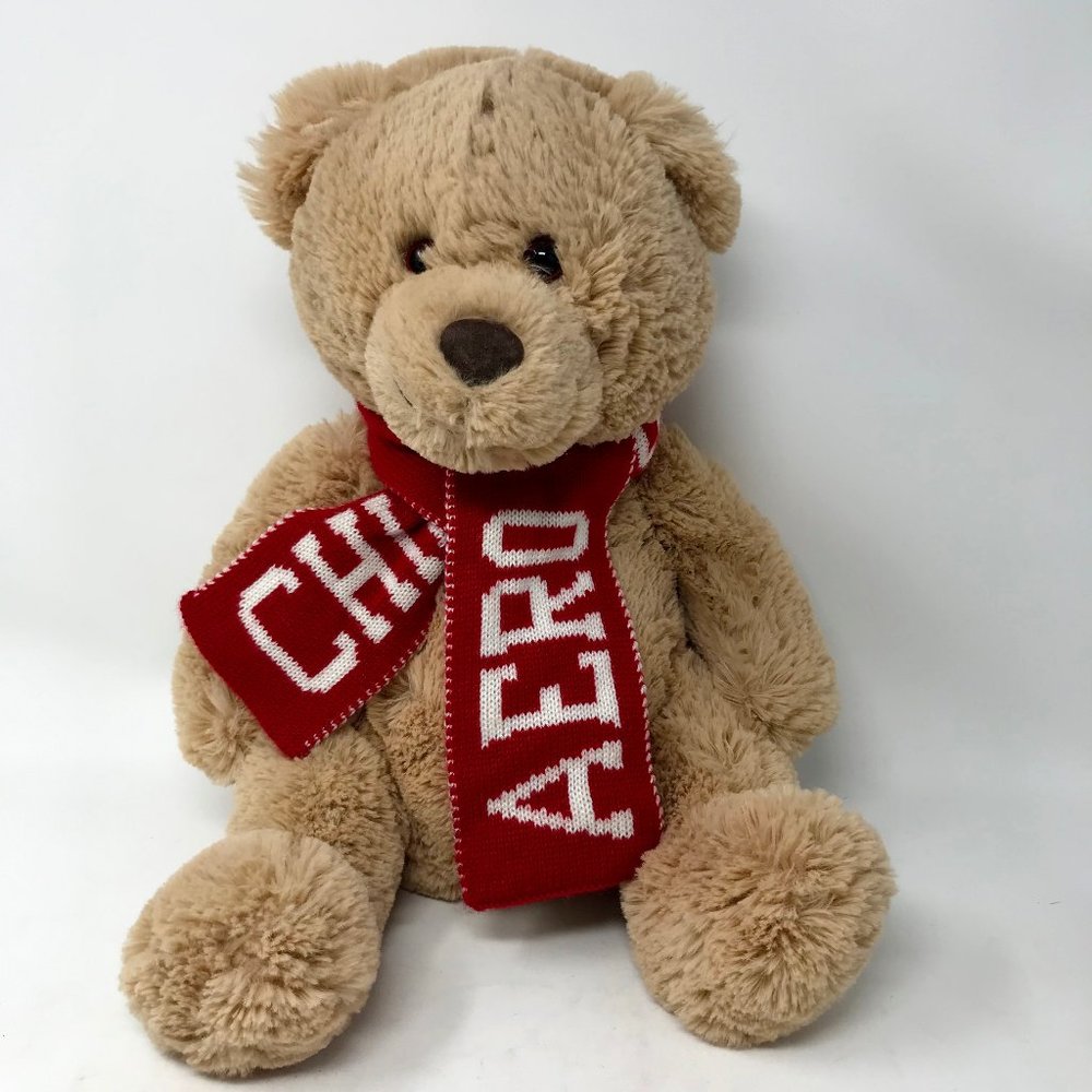Aeropostale Plush 15” Teddy Bear Knit “Chill Out Aero” Scarf Soft Cuddly